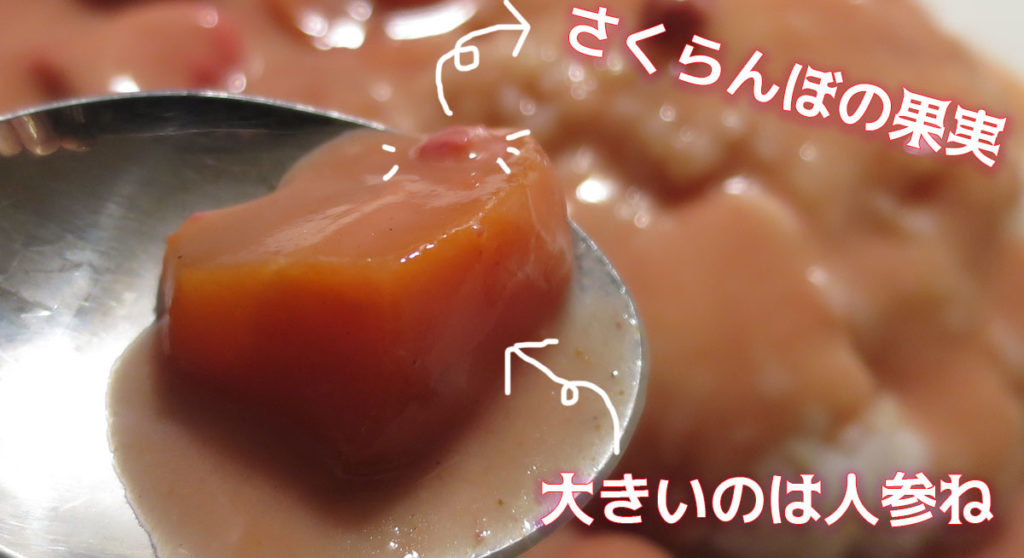 さくらんぼカレーレビュー